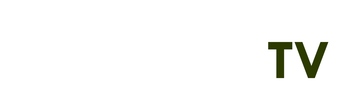 wave alpha 2022
